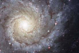 Cosmological Principles Copernicus