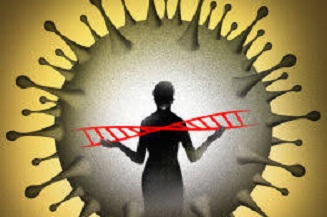 virus virus