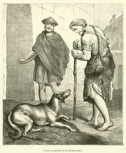 Argos Argos